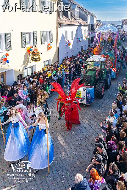Foto Laudi_Faschingszug_Hofkirchen-91.jpg